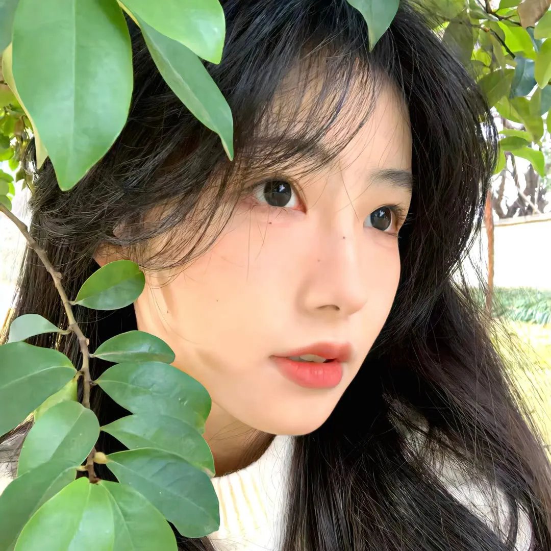 动态漫画·开局强吻裂口女 高清封面